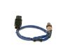 Oxygen Sensor -