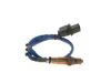 Oxygen Sensor -
