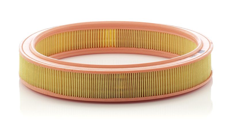 Air Filter Ford Escort,Orion 1-3 88