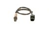 Oxygen Sensor Oxygen Sensor