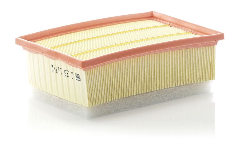 Air Filter Peugeot 307 2.0 HDi 01-
