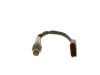 Oxygen Sensor -