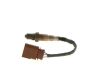 Oxygen Sensor -