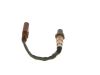 Oxygen Sensor -