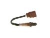 Oxygen Sensor -