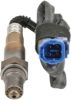 Oxygen Sensor -