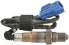 Oxygen Sensor -