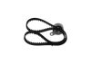 Timing Belt Kit -