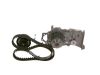 Water Pump & Timing Belt Kit -