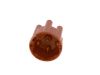 Distributor Cap -