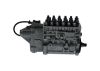 lnjection Pump -