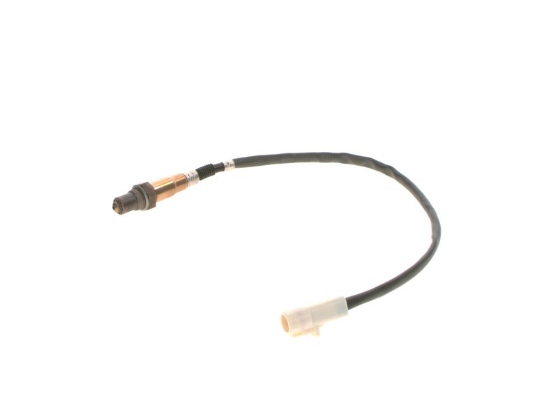 Oxygen Sensor -