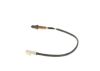 Oxygen Sensor -