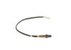 Oxygen Sensor -