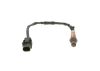 Oxygen Sensor -