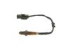 Oxygen Sensor -