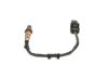 Oxygen Sensor -