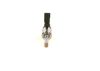 Injector VAG - 06H 906 036 E