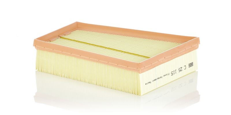 Air Filter Renault Megane,Scenic III 08