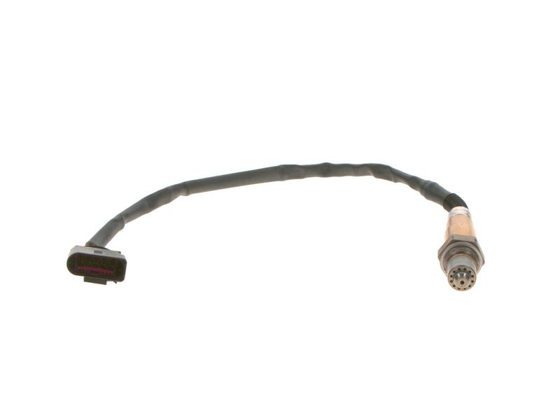 Oxygen Sensor -