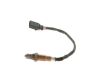 Oxygen Sensor -