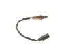 Oxygen Sensor -