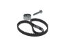 Timing Belt Kit -