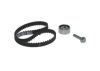 Timing Belt Kit -