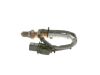 Oxygen Sensor -