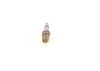 Spark Plug Jaguar