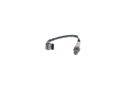 Oxygen Sensor -