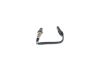Oxygen Sensor -