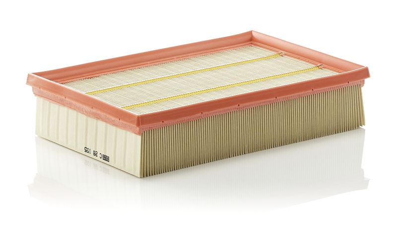 Air Filter L/R Freelander II TD4 07-