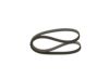 V-Ribbed Belt 5PK1015