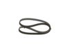 V-Ribbed Belt 5PK1015