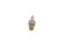 Spark Plug -