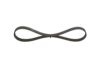 V-Ribbed Belt 5PK790