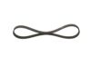 V-Ribbed Belt 5PK790