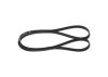 V-Ribbed Belt 5PK1295