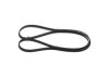 V-Ribbed Belt 5PK1295