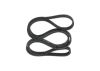 V-Ribbed Belt VOLVO - 30731811 - 6DPK1825