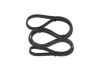 V-Ribbed Belt VOLVO - 30731811 - 6DPK1825