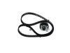 Timing Belt Kit -