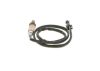 Oxygen Sensor Porsche