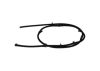 Hose, fuel overflow -