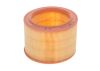 Air Filter BERLINGO (MF), 309 II (3C, 3A)