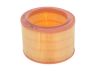 Air Filter BERLINGO (MF), 309 II (3C, 3A)