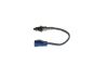 Oxygen Sensor -