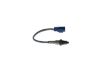 Oxygen Sensor -