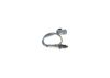 Oxygen Sensor -